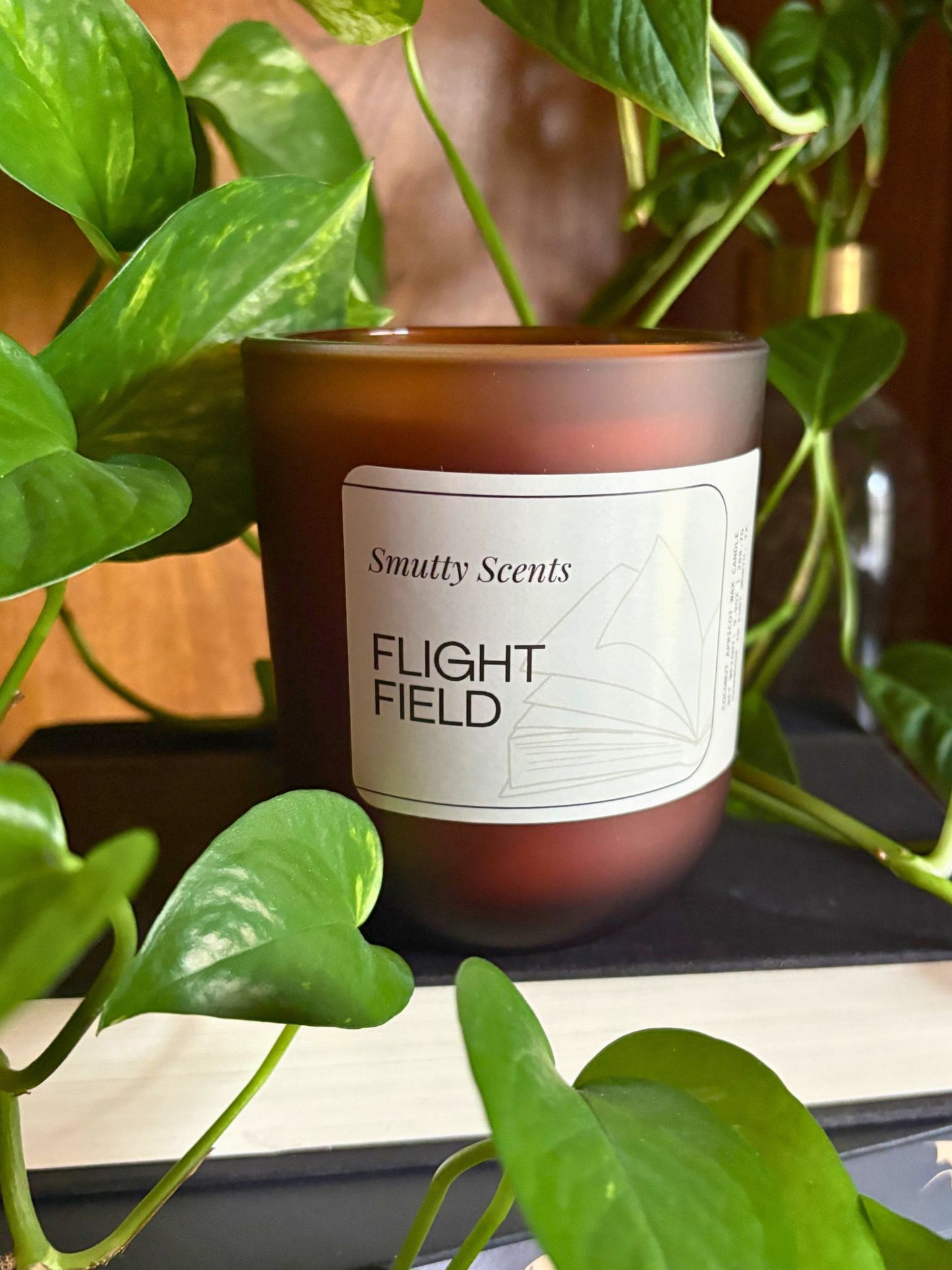 Flight Field